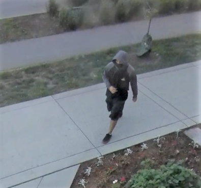 Photo of suspect 